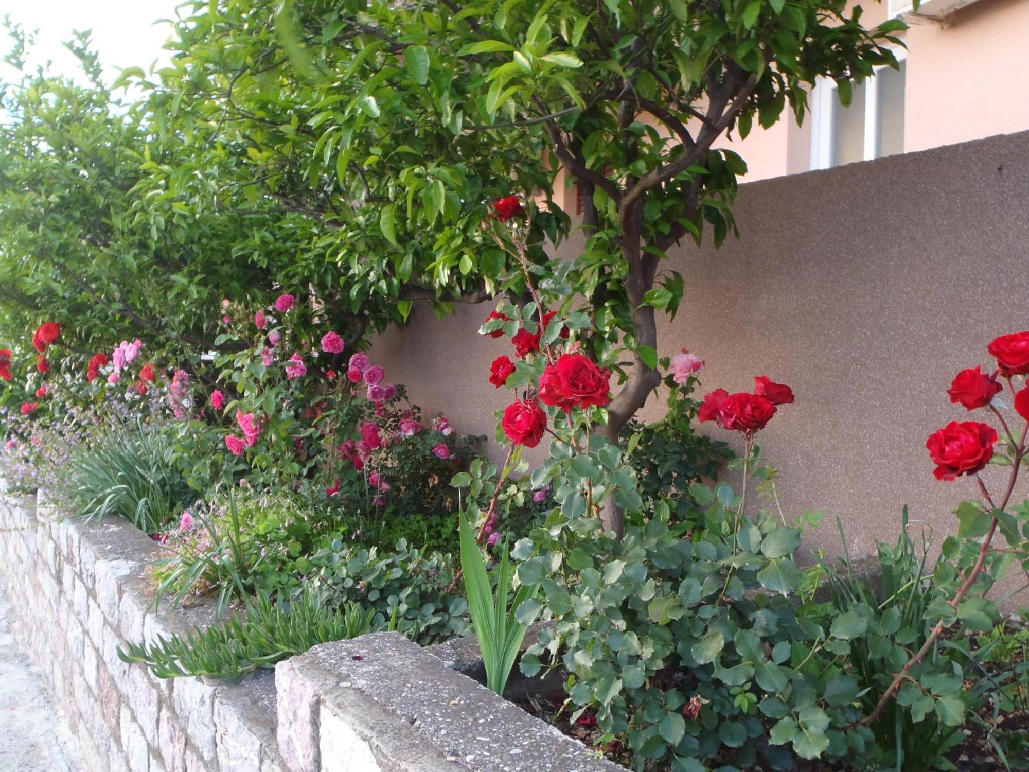 Apartments Durasevic Ilha Ilha Sveti Stefan Exterior foto